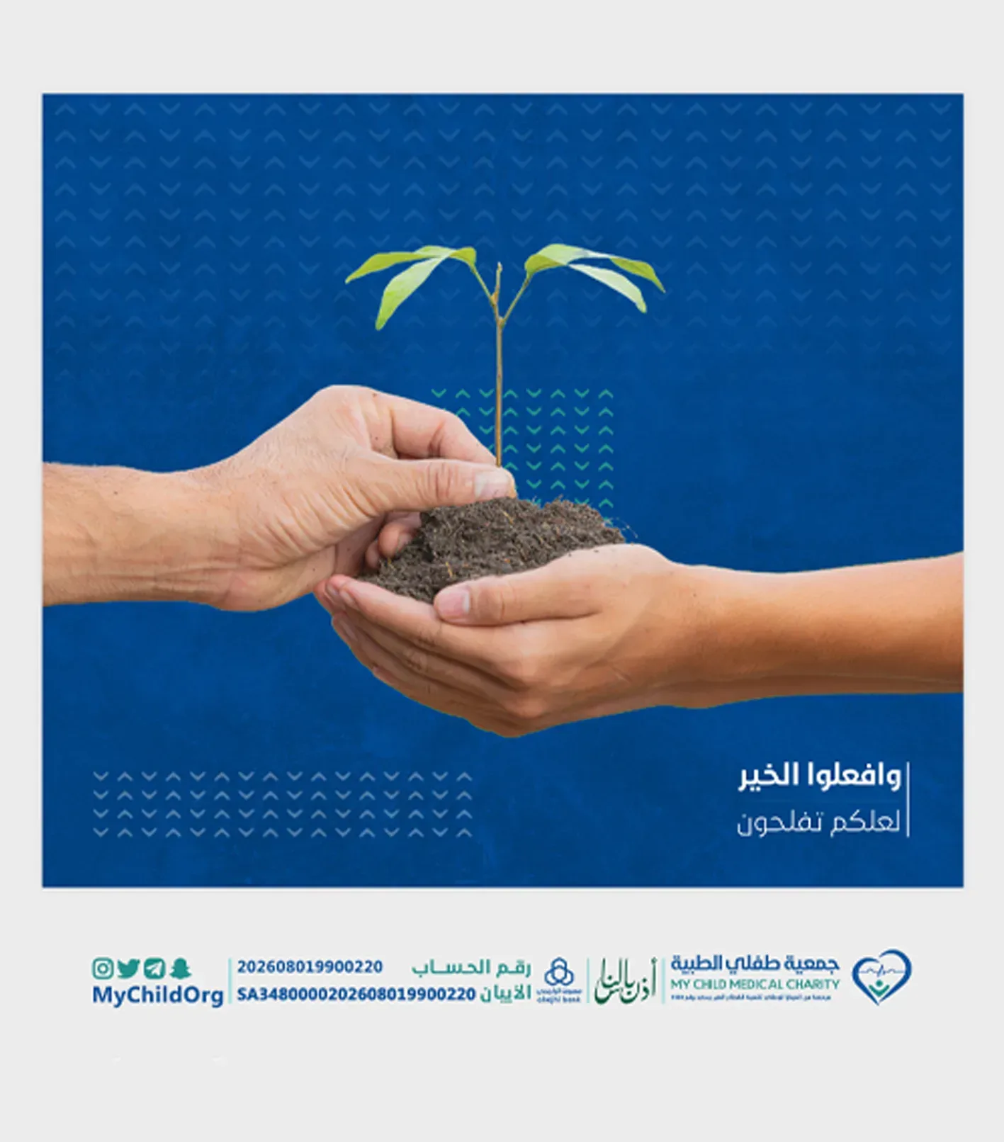 بوستات - صورة 12